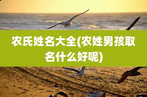 农氏姓名大全(农姓男孩取名什么好呢)