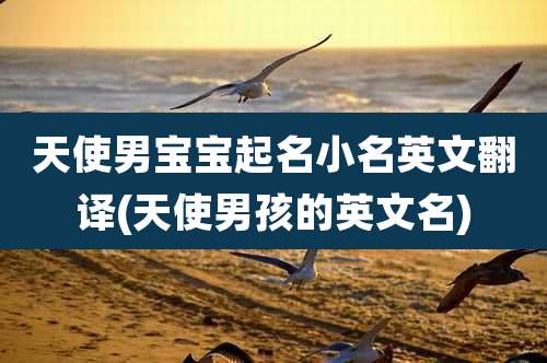 天使男宝宝起名小名英文翻译(天使男孩的英文名)