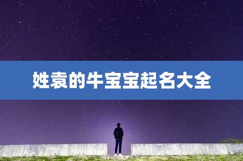 姓袁的牛宝宝起名大全