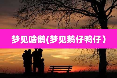 梦见啥鹅(梦见鹅仔鸭仔)