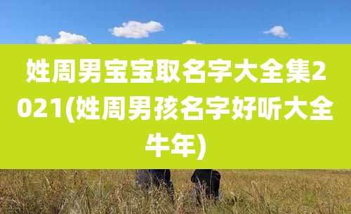 姓周男宝宝取名字大全集2021(姓周男孩名字好听大全牛年)