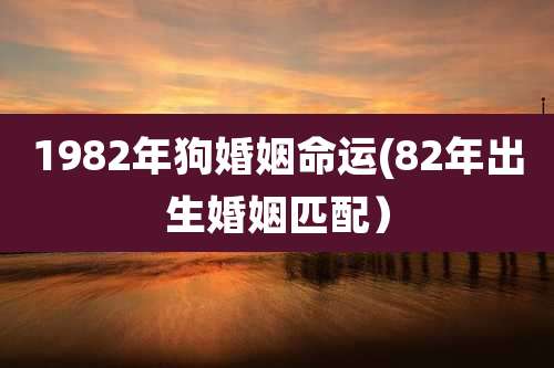 1982年狗婚姻命运(82年出生婚姻匹配)