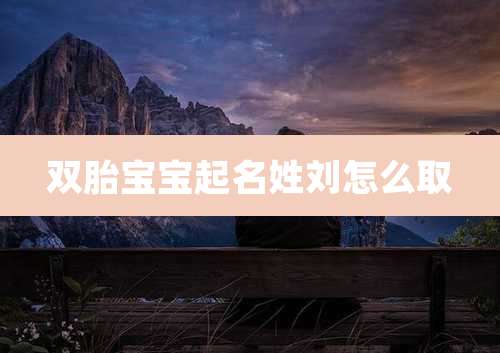 双胎宝宝起名姓刘怎么取