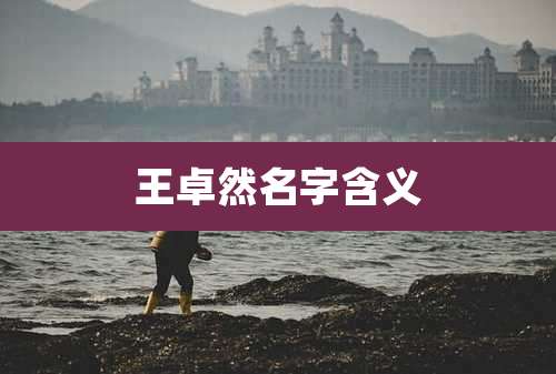 王卓然名字含义