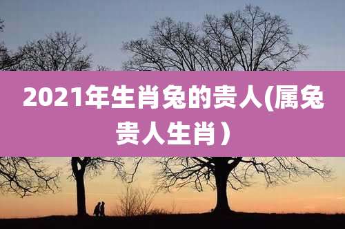 2021年生肖兔的贵人(属兔贵人生肖）