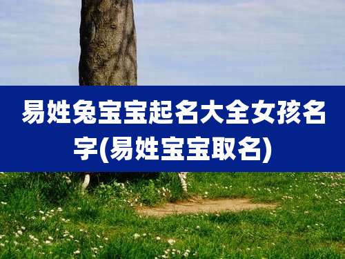 易姓兔宝宝起名大全女孩名字(易姓宝宝取名)