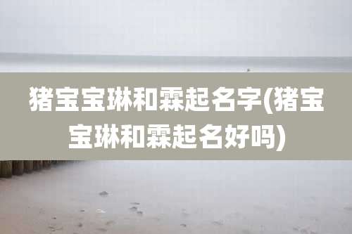 猪宝宝琳和霖起名字(猪宝宝琳和霖起名好吗)