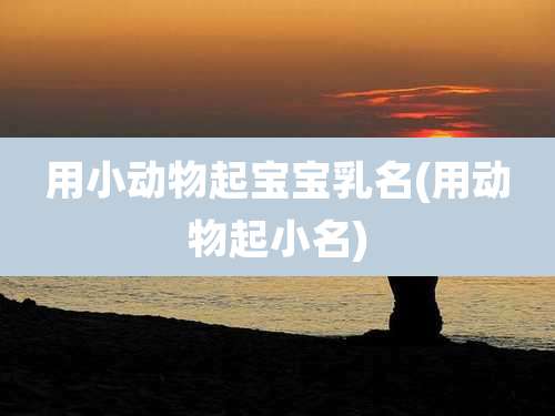 用小动物起宝宝乳名(用动物起小名)