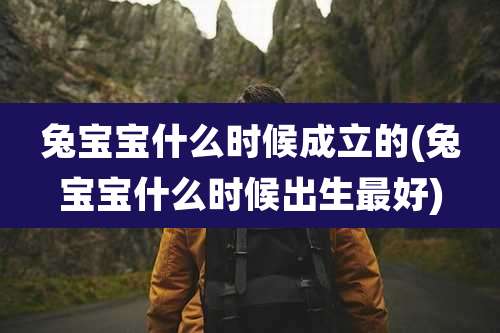兔宝宝什么时候成立的(兔宝宝什么时候出生最好)