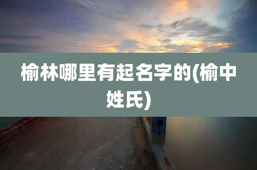 榆林哪里有起名字的(榆中姓氏)