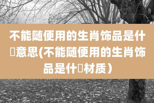 不能随便用的生肖饰品是什麼意思(不能随便用的生肖饰品是什麼材质）