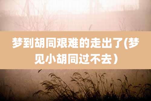 梦到胡同艰难的走出了(梦见小胡同过不去）