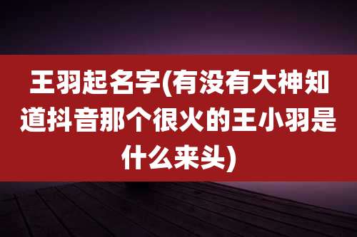 王羽起名字(有没有大神知道抖音那个很火的王小羽是什么来头)