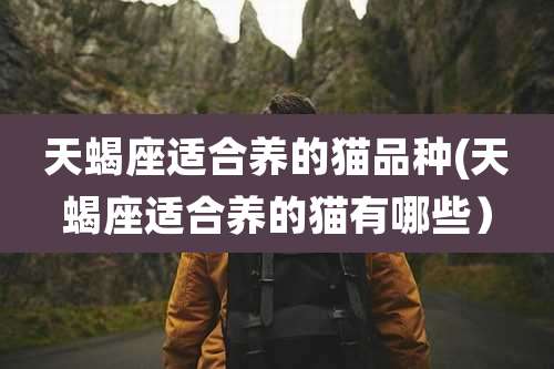 天蝎座适合养的猫品种(天蝎座适合养的猫有哪些)