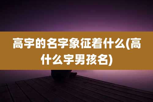 高宇的名字象征着什么(高什么宇男孩名)