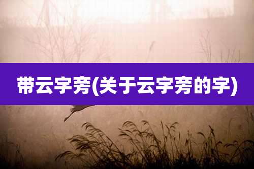 带云字旁(关于云字旁的字)