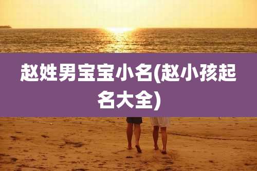 赵姓男宝宝小名(赵小孩起名大全)