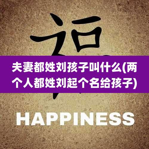 夫妻都姓刘孩子叫什么(两个人都姓刘起个名给孩子)