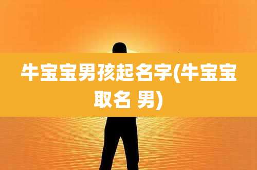 牛宝宝男孩起名字(牛宝宝取名 男)