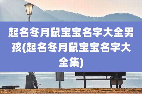 起名冬月鼠宝宝名字大全男孩(起名冬月鼠宝宝名字大全集)