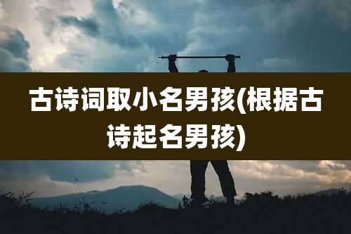 古诗词取小名男孩(根据古诗起名男孩)