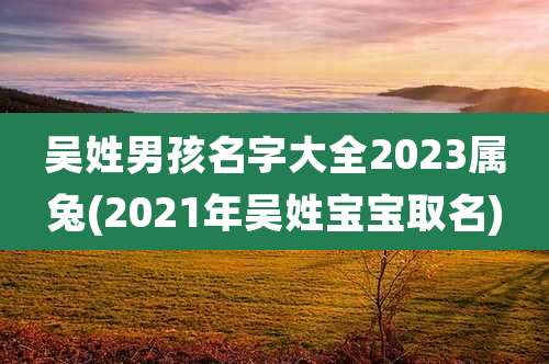 吴姓男孩名字大全2023属兔(2021年吴姓宝宝取名)