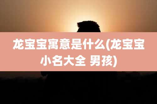 龙宝宝寓意是什么(龙宝宝小名大全 男孩)