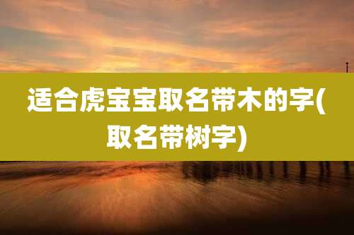 适合虎宝宝取名带木的字(取名带树字)