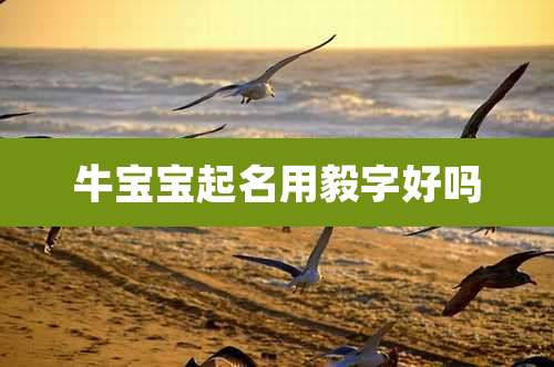 牛宝宝起名用毅字好吗