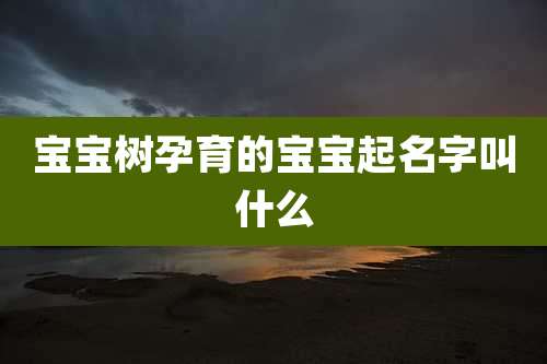 宝宝树孕育的宝宝起名字叫什么
