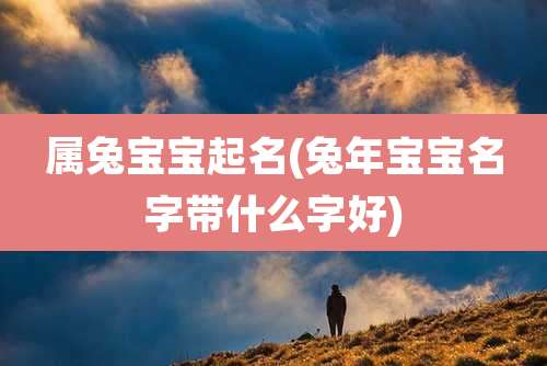 属兔宝宝起名(兔年宝宝名字带什么字好)