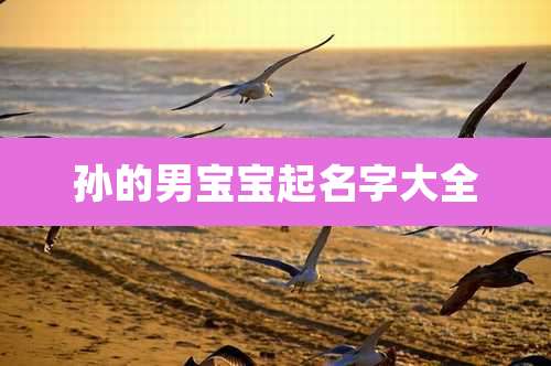 孙的男宝宝起名字大全