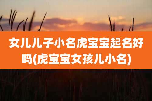 女儿儿子小名虎宝宝起名好吗(虎宝宝女孩儿小名)