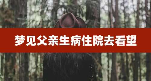 梦见父亲生病住院去看望