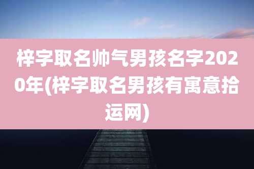 梓字取名帅气男孩名字2020年(梓字取名男孩有寓意拾运网)