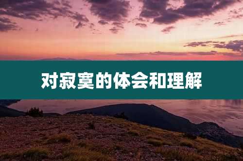 对寂寞的体会和理解