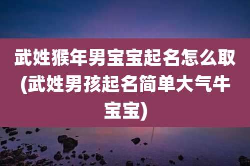 武姓猴年男宝宝起名怎么取(武姓男孩起名简单大气牛宝宝)