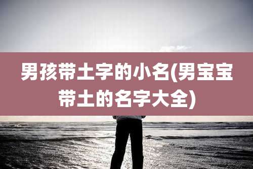 男孩带土字的小名(男宝宝带土的名字大全)