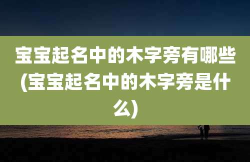 宝宝起名中的木字旁有哪些(宝宝起名中的木字旁是什么)
