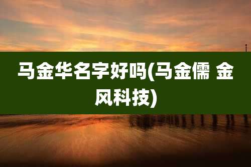 马金华名字好吗(马金儒 金风科技)