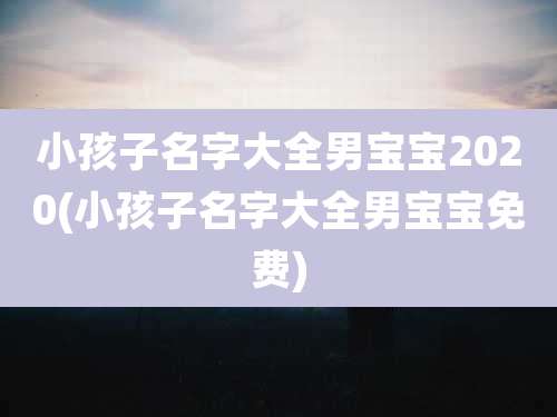 小孩子名字大全男宝宝2020(小孩子名字大全男宝宝免费)