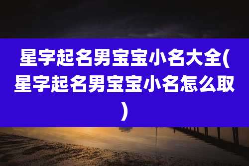 星字起名男宝宝小名大全(星字起名男宝宝小名怎么取)