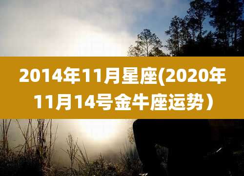 2014年11月星座(2020年11月14号金牛座运势）