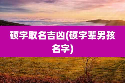 硕字取名吉凶(硕字辈男孩名字)