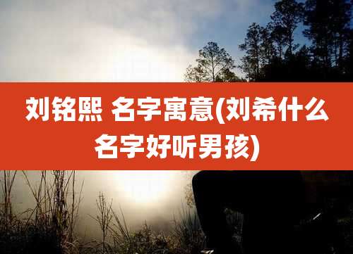 刘铭熙 名字寓意(刘希什么名字好听男孩)