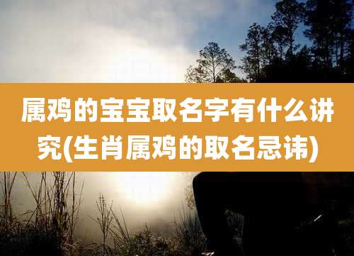 属鸡的宝宝取名字有什么讲究(生肖属鸡的取名忌讳)