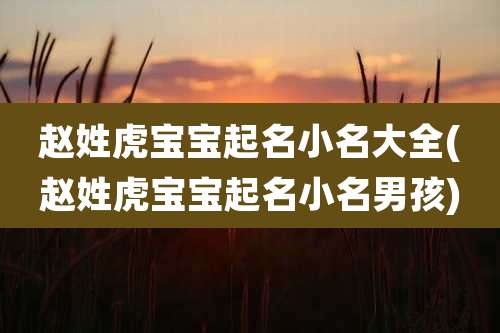 赵姓虎宝宝起名小名大全(赵姓虎宝宝起名小名男孩)