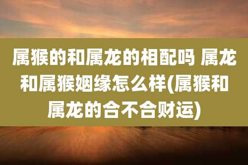 属猴的和属龙的相配吗 属龙和属猴姻缘怎么样(属猴和属龙的合不合财运)