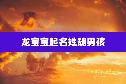 龙宝宝起名姓魏男孩