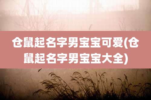 仓鼠起名字男宝宝可爱(仓鼠起名字男宝宝大全)